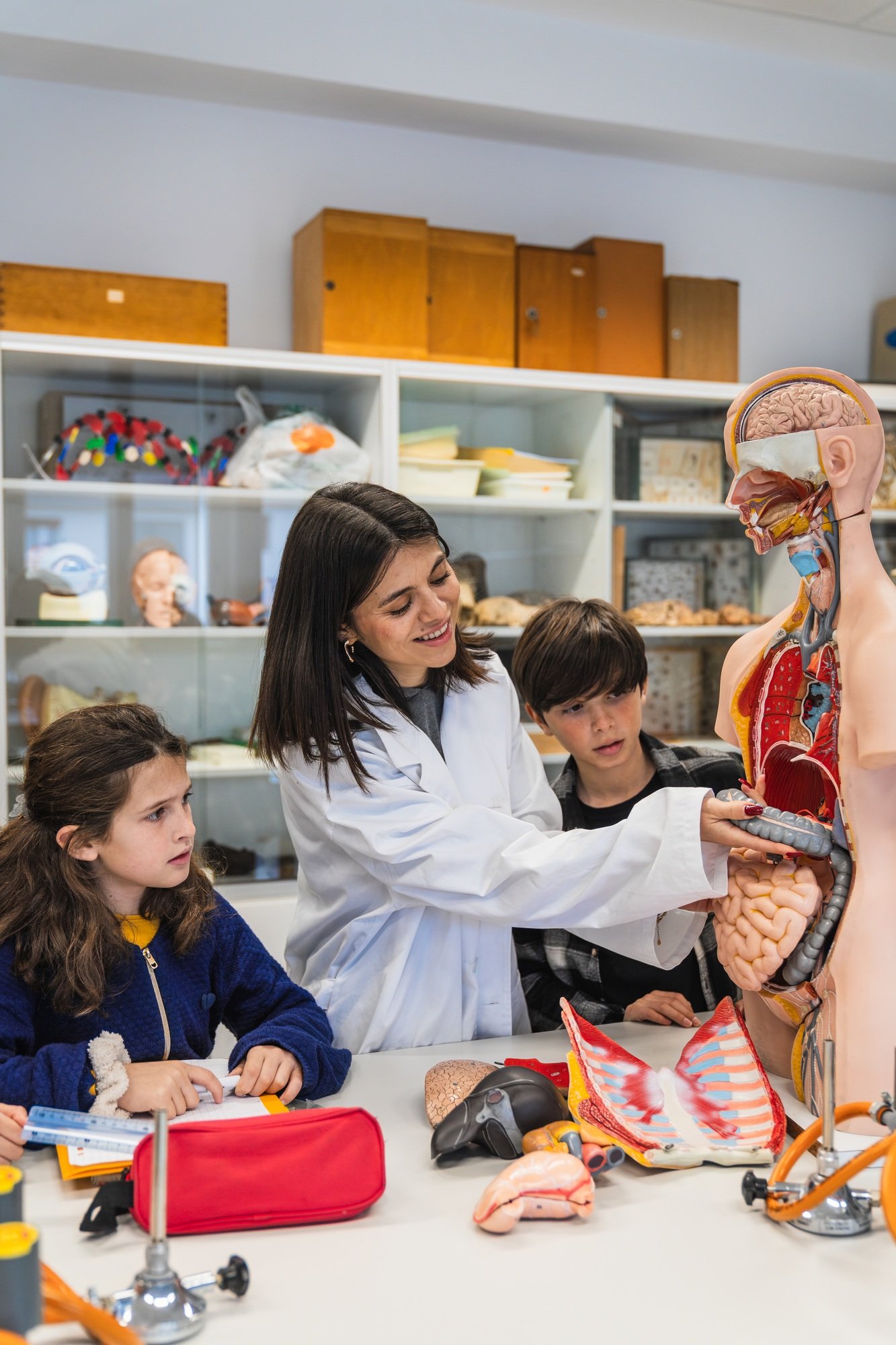 Teacher explaining human anatomy to elementary school students with anatomical model